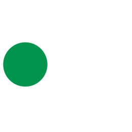 Solid Försäkring Logo Green + White CMYK